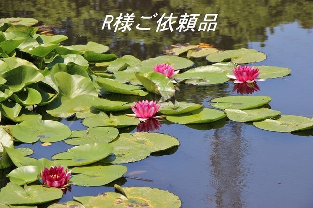 R様ご依頼品の画像1枚目