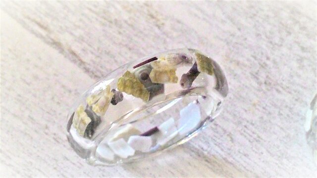 クラッシュウニの指輪の画像1枚目
