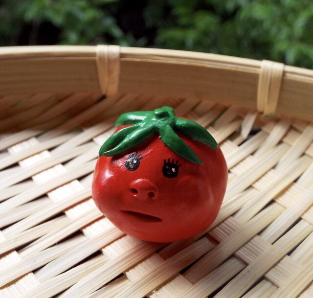 朝採り♪ プチトマトちゃんの画像1枚目