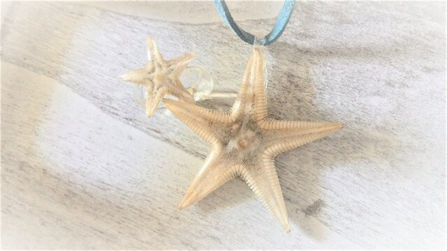 蓄光☆ビーチで使えるヒトデの標本アクセサリーセットの画像1枚目
