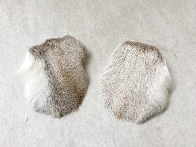 ファー シュークリップ 6sc2の画像1枚目