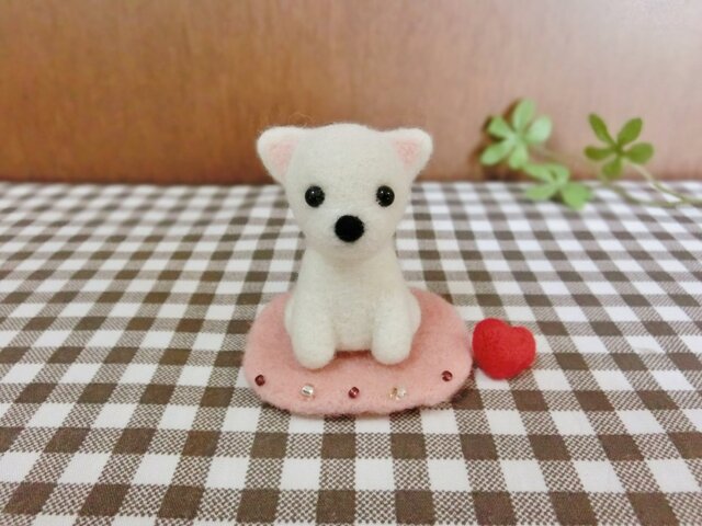 お座りミニチワワ☆の画像1枚目