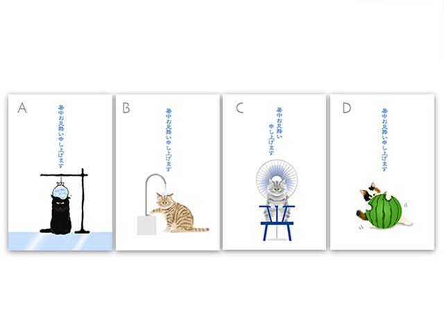 猫 ポストカード夏 *暑中見舞文字入り*4枚セット ＊冷やしてますよ