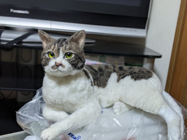 るなねこ 羊毛フェルト リアル オーダーページ | iichi 日々の