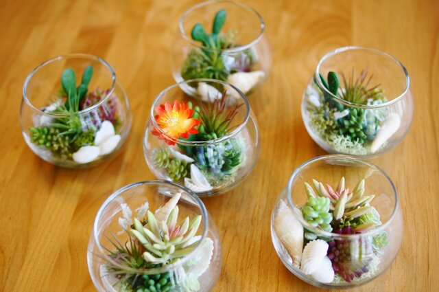 多肉植物アレンジグラスの画像1枚目