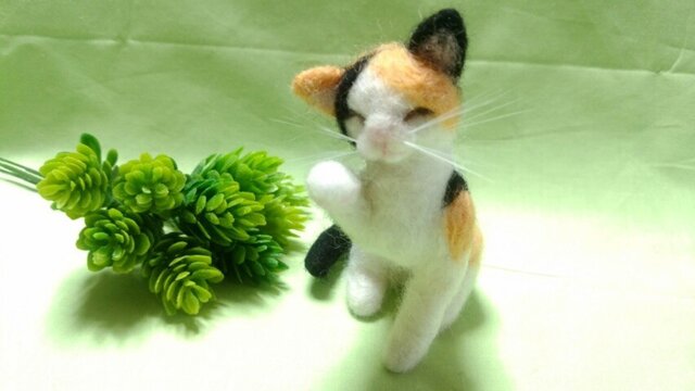 羊毛猫*三毛*毛づくろいの画像1枚目