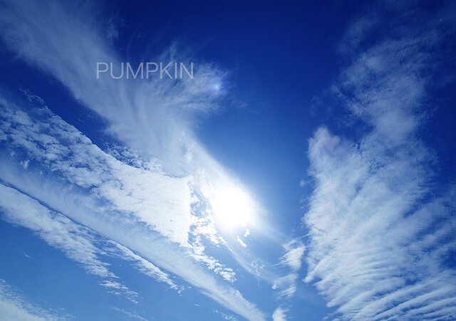 雲ーⅠ PH-A4-026 A4 写真 青空 雲 | iichi 日々の暮らしを心地よく