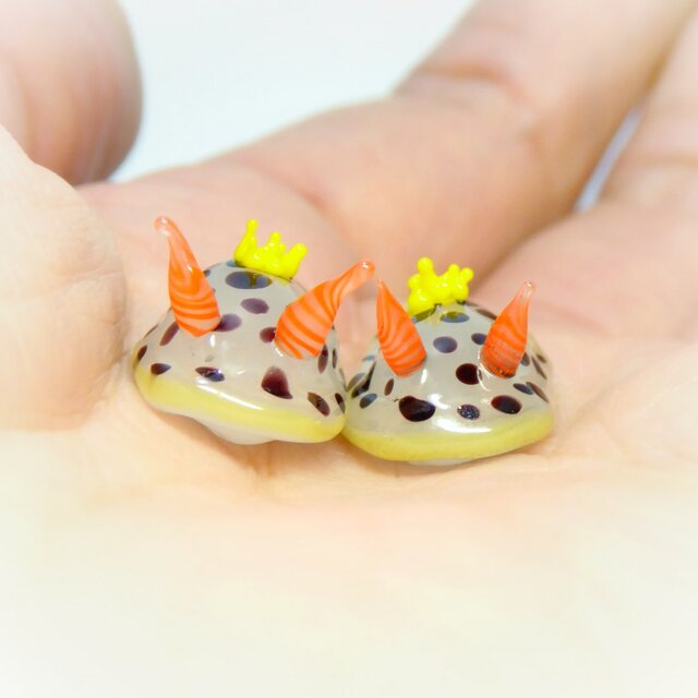 ガラスのシロウミウシの画像1枚目