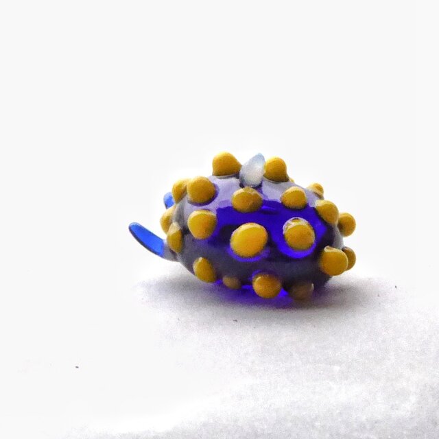 ガラスのテントウウミウシの画像1枚目