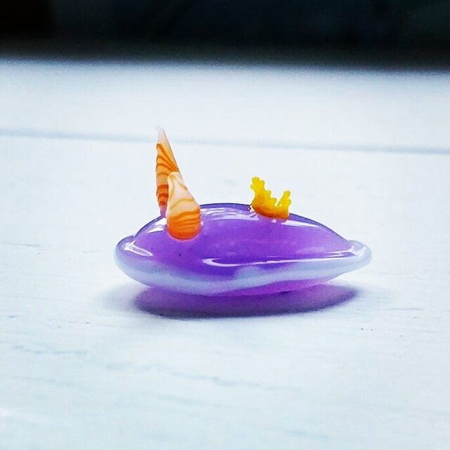 ガラスのシンデレラウミウシの画像1枚目