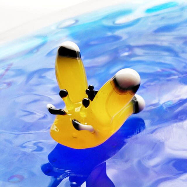 ガラスのウデフリツノザヤウミウシの画像1枚目