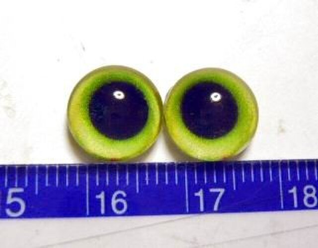 にゃんこのおめめ○半球グラスアイ○猫目○10mm○10357の画像1枚目