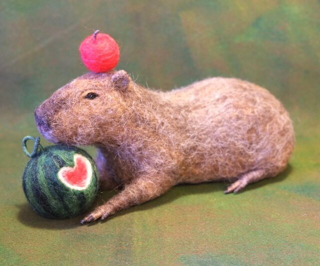 すいか(カピバラ)の画像1枚目