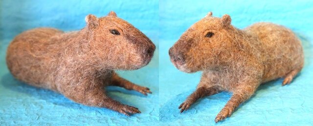 すいか（カピバラ） | iichi 日々の暮らしを心地よくするハンドメイド