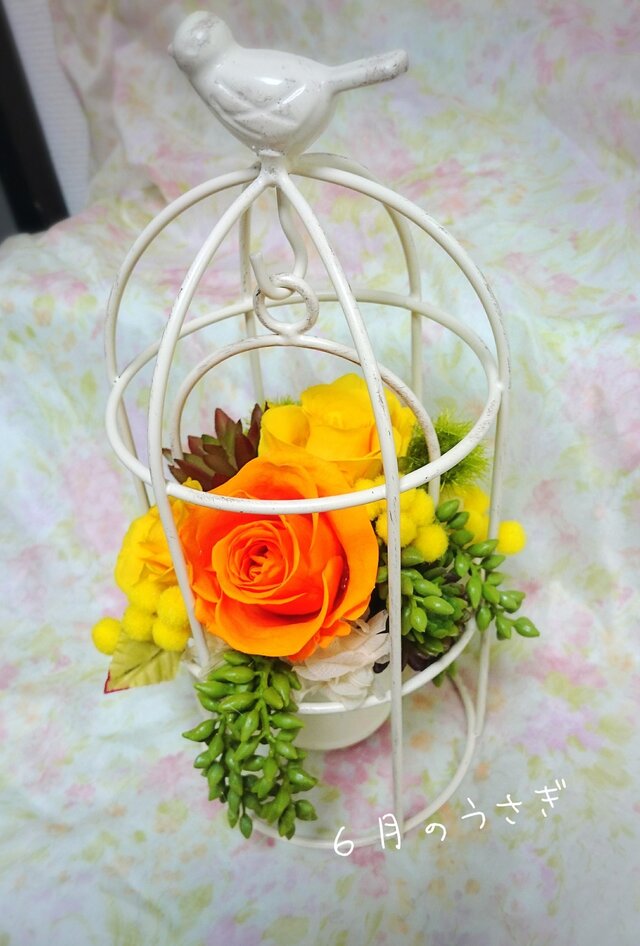 birdcageサマーアレンジメントの画像1枚目