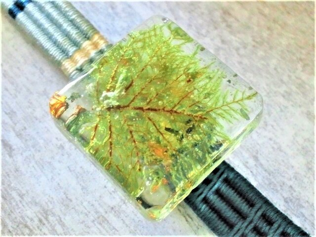 箔入り☆イワダレゴケの封入標本帯留の画像1枚目