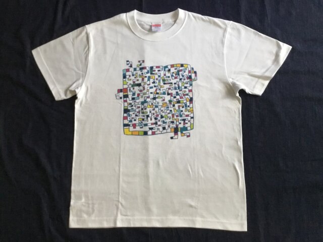 シカクシメンの画像1枚目