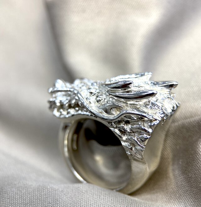 銀の龍の背に乗って~あなたの行きたい所へ連れて行ってもらいましょう