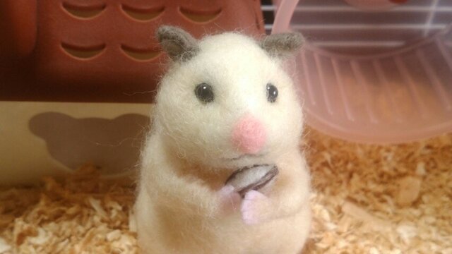 羊毛ハムスター*キンクマ*たっちの画像1枚目