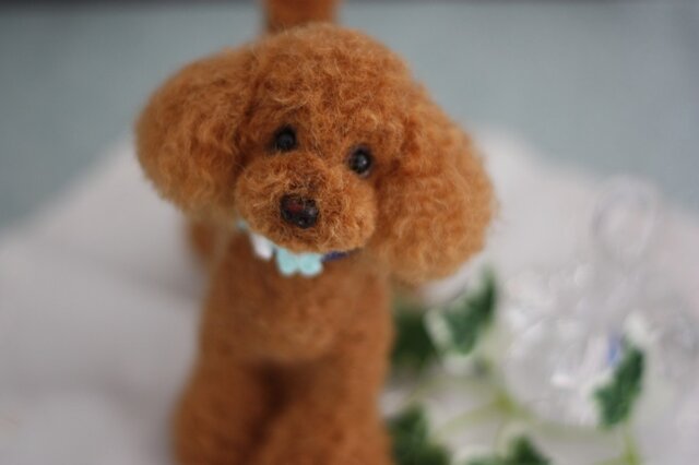 羊毛フェルト お洒落でしょう レッドカラーのトイプードル | iichi
