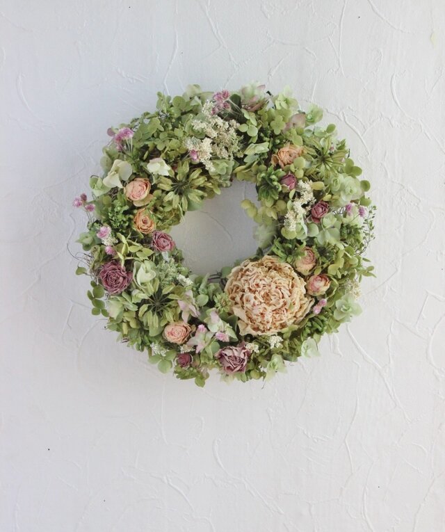 flowers enjoy the wind（芍薬）