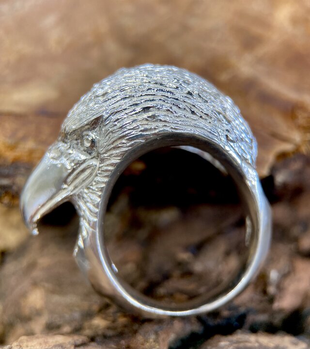 高い空から俯瞰する鷲の目で見て行こう！イーグルリング