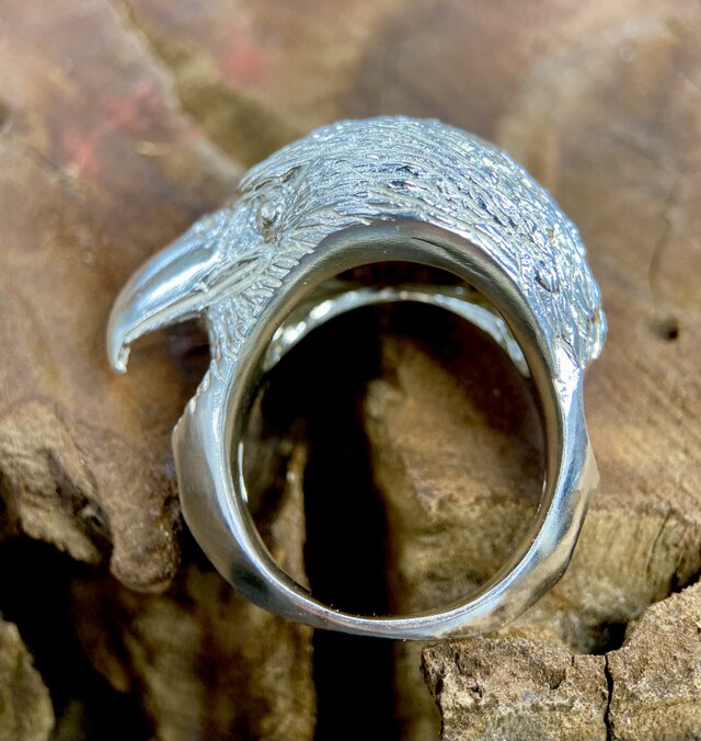 高い空から俯瞰する鷲の目で見て行こう！イーグルリング | iichi 日々