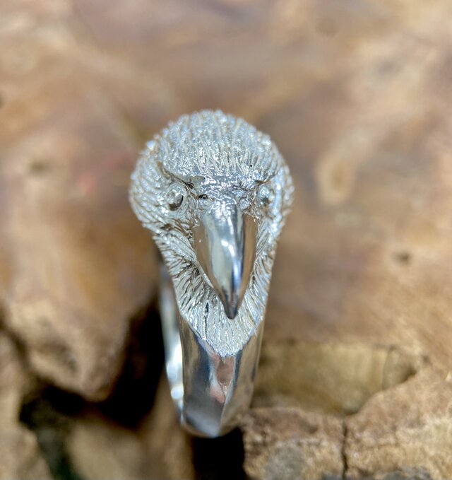 高い空から俯瞰する鷲の目で見て行こう！イーグルリング | iichi 日々