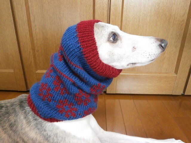 1000以上 犬 ネックウォーマー 編み方 ただかわいい犬