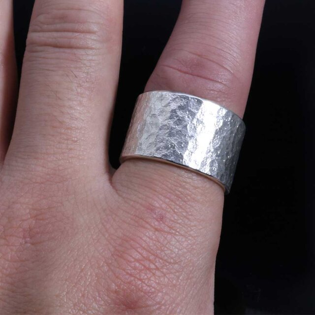 豪華 メンズ リング 指輪 シルバー 銀 - 指輪