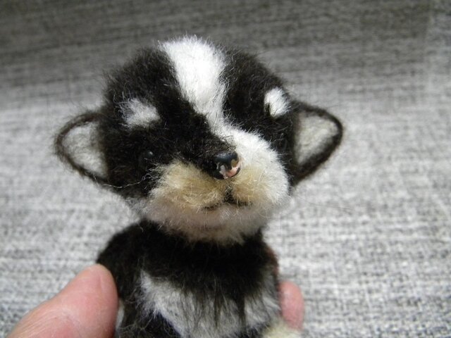 【H様ご注文の品】チワワのパピーちゃんの画像1枚目
