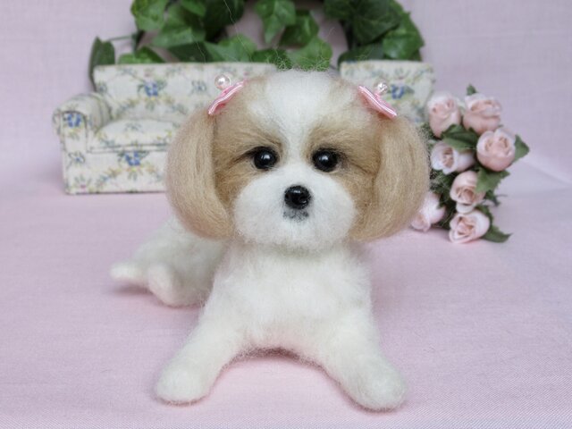 可愛いシーズー　犬