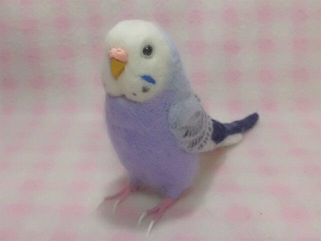 リアル セキセイインコ 中雛 オパーリン オーダー品 リアル セキセイ