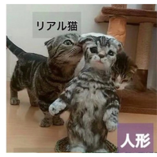 【激安価額】！！！はねこサン様オーダーページです！！！ トートバッグ