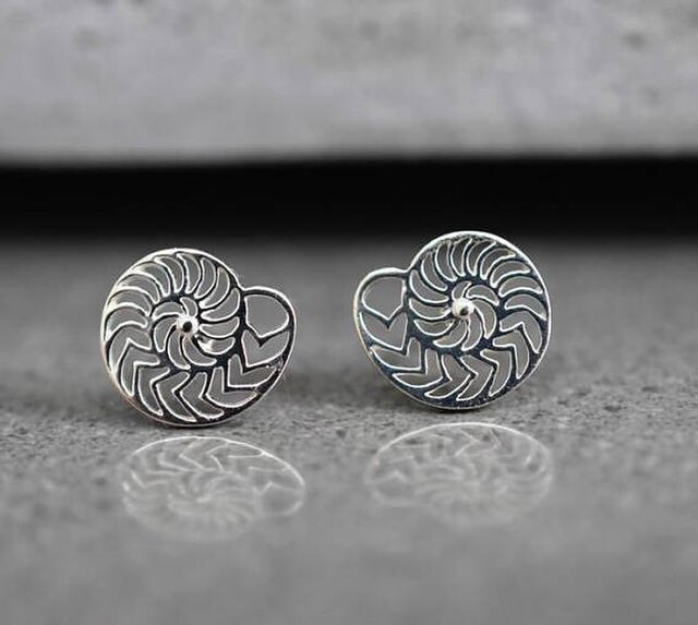 925 Silver ピアス "アンモナイト"の画像1枚目