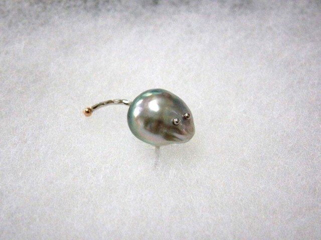 太っちょマウスの画像1枚目