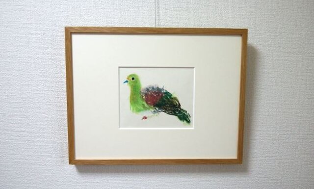 アオバトの画像1枚目