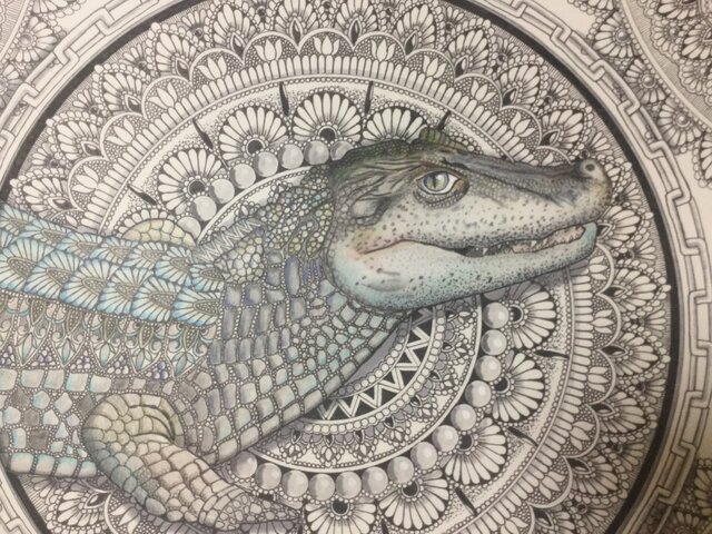 絵画/アート作品/イラスト/アクリル絵の具/ペン画/ワニ