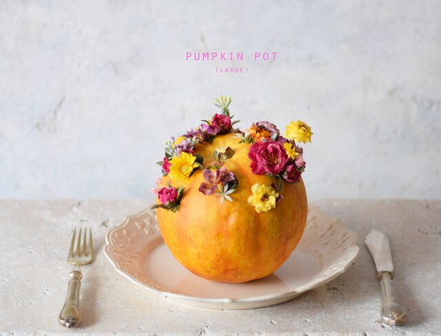 pumpkin pot(large) フラワーの画像1枚目