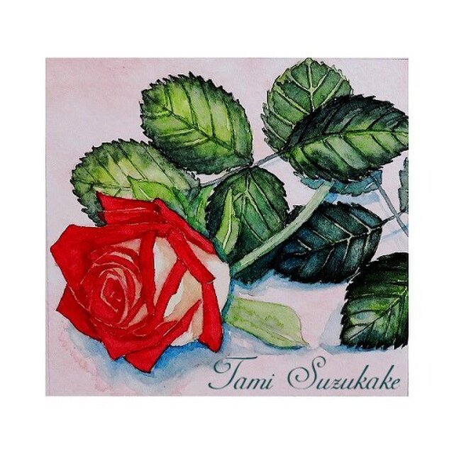 ポストカード ９ 薔薇一輪 １０ 赤い薔薇 １１ ダリアの花 Iichi ハンドメイド クラフト作品 手仕事品の通販