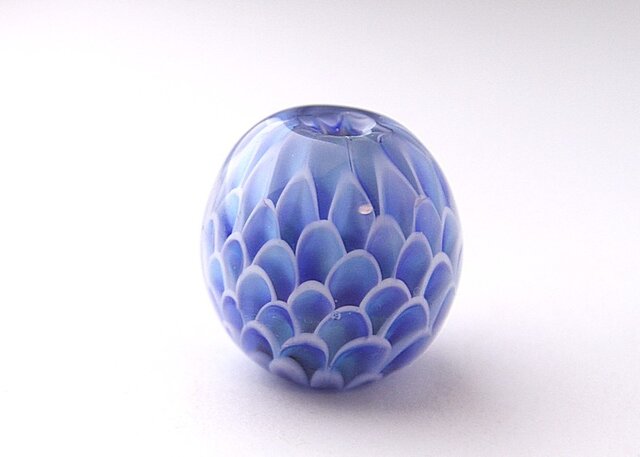 蒼魚の画像1枚目