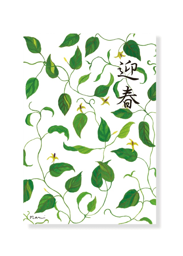 年賀状 利休草 2枚組の画像1枚目