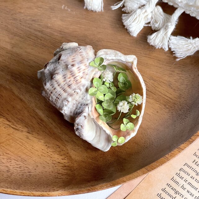 貝殻の置物　ミニチュア Green シロツメクサ　S