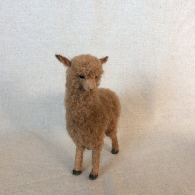 ウールのアルパカ茶色の画像1枚目