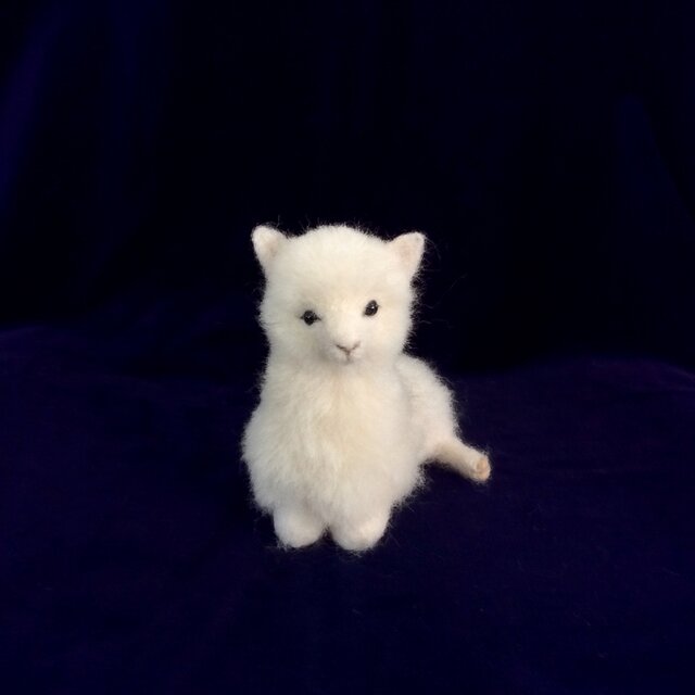 ウールのアルパカ白の画像1枚目