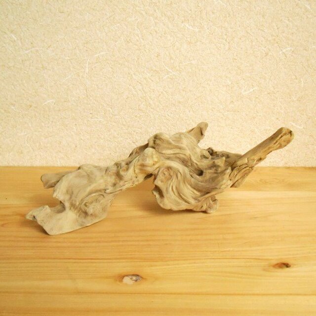 【温泉流木】うねる波の流木 流木オブジェ 素材 流木インテリアの画像1枚目