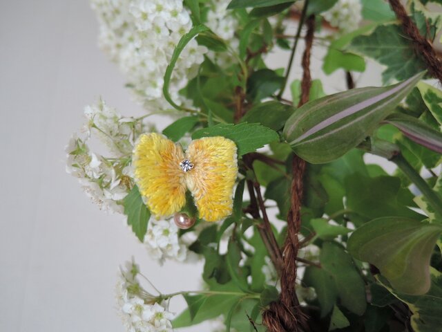 AnimalMedicine<butterfly>小さな太陽の画像1枚目