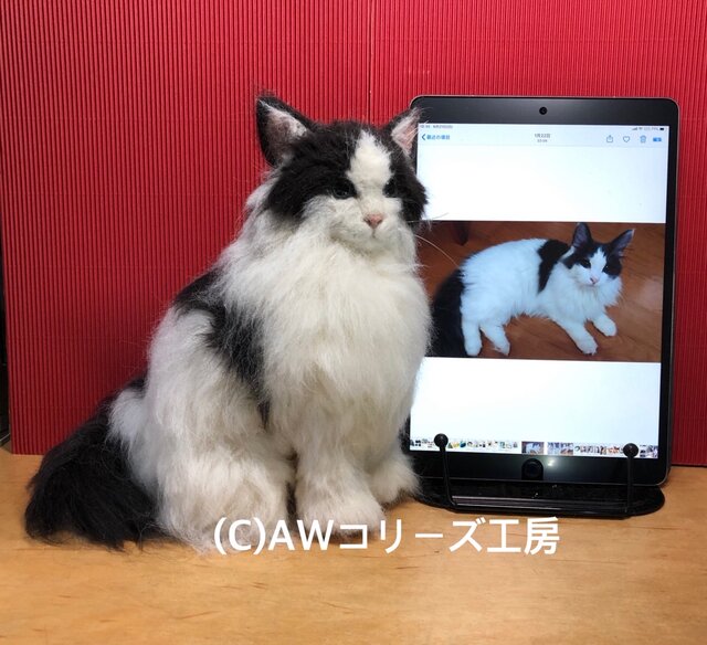 羊毛フェルト21cm:オーダーメイドの猫人形(植毛、ストレート)の画像1枚目