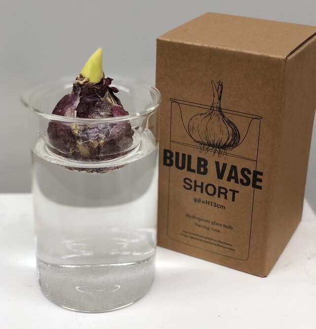 フラワーベース【BULB VACE SHORT】の画像1枚目