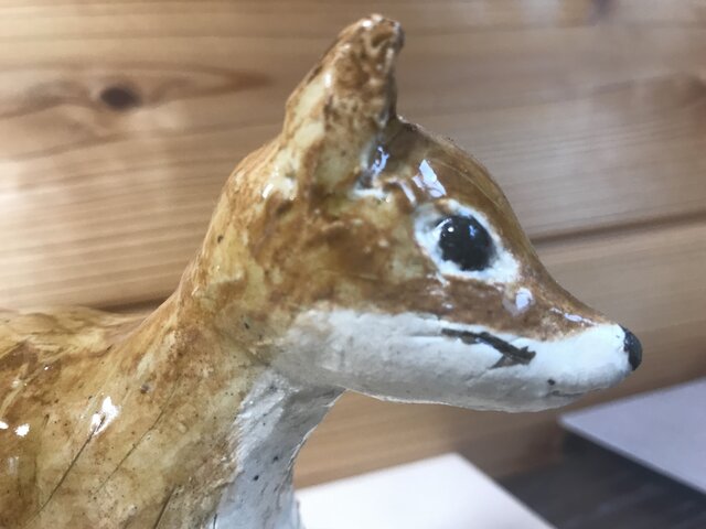 キタキツネの画像1枚目